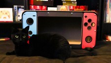 Pawswitch Pro - Cardboard Cat House And Pet Bed Nintendo Switch Inspired 