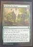 MtG - Reclaim the Wastes - Zendikar Rising Common #200 Green - Great Condition !