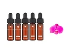 Skinceuticals C E Ferulic Anti-Aging 5 Samples
