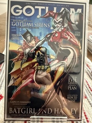 Gotham Sirens Bat Girl And Harley