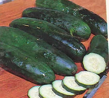 Cucumber Marketmore 76    250 seeds