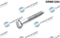Dr.Motor Automotive DRM01284 Schraube, EinspritzdüSenhalter For Opel Vauxhall