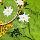 Bild 5 von 9