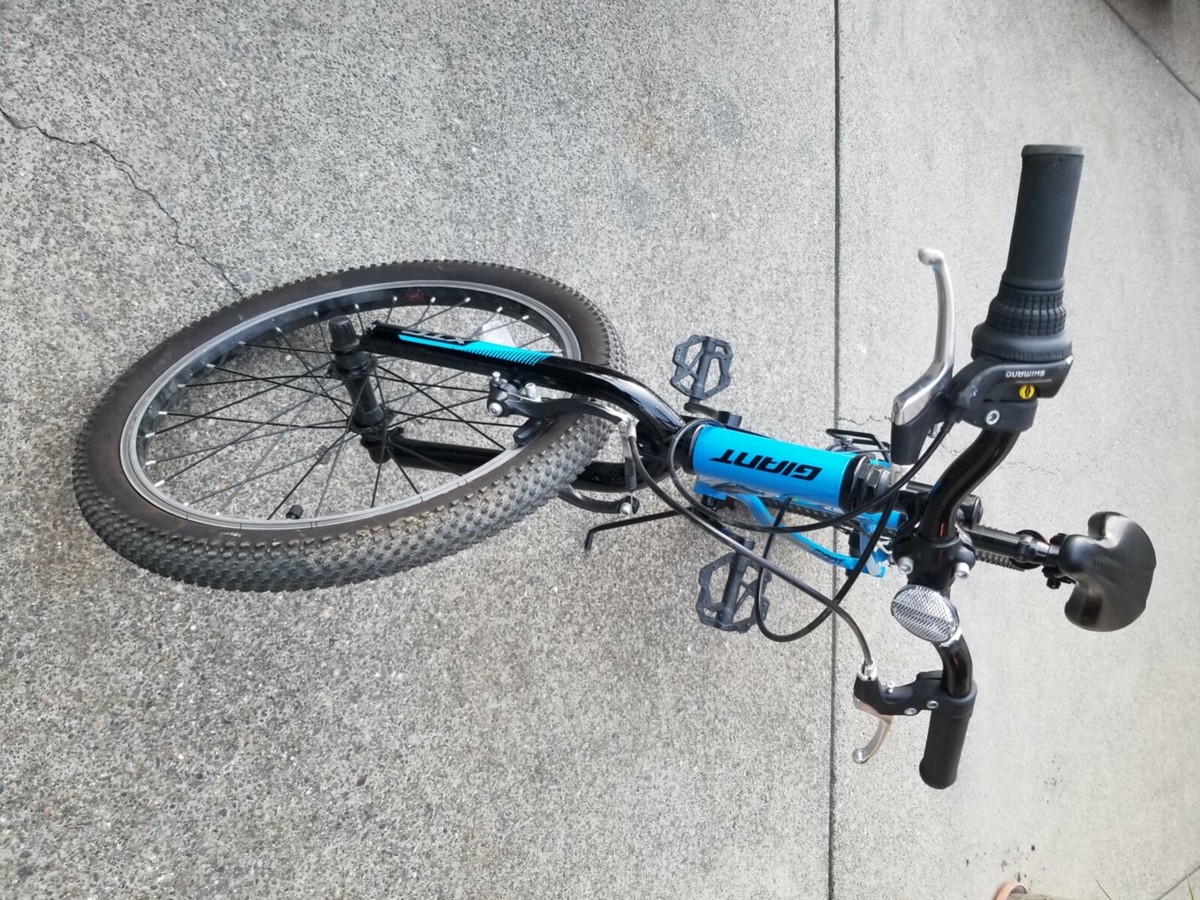 Giant XTC Jr 20in - color Blue | eBay