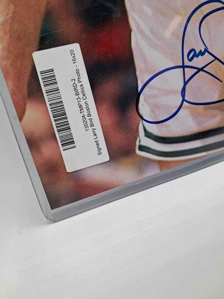 LARRY BIRD & KEVIN MCHALE Signed Autographed 16x20 Photo ~ PSA DNA Authentic - Image 3 of 4