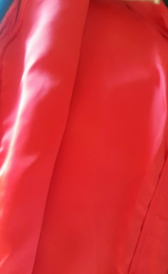 Винтажная черная кожаная сумка для одежды с красной атласной подкладкой STIRES & COMPANY PANTHER BAG - Изображение 3 из 4