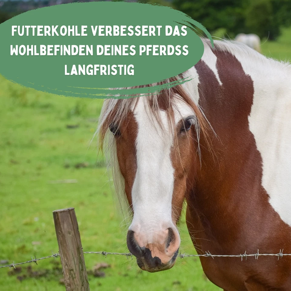reine Futterkohle für Pferde - Bild 3 von 4