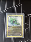 Rayquaza Promo XY64 Holo 2015 Mod Played
