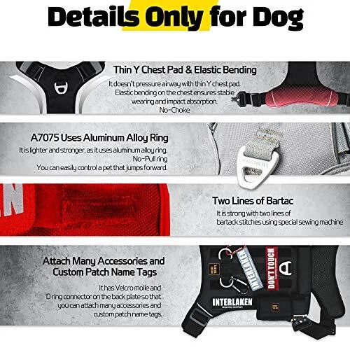 Dog Harness, No-Pull Pet Harness, Adjustable Eva Padded Dog Vest, S Light Grey