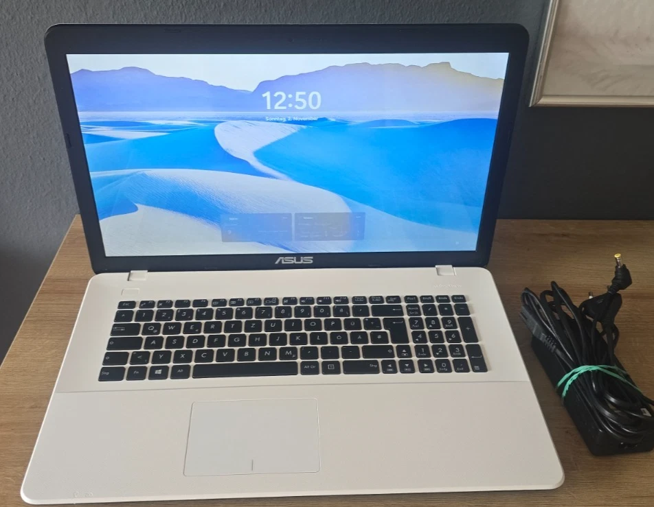 Asus F751N 17,3 Zoll 8GB 256GB SSD Intel Top Zustand