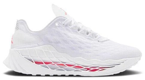 Jordan Zoom Trunner Ultimate Multicolor