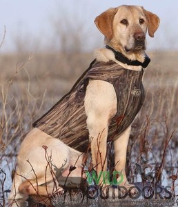 orange neoprene dog vest