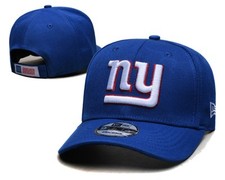 New York Giants Collecting and Fan Guide 16