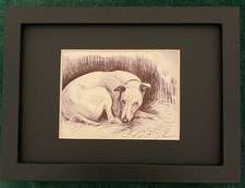 Whippet MATTED | FRAMED | READY TO GIFT - 1986 Vintage Dog Art Print