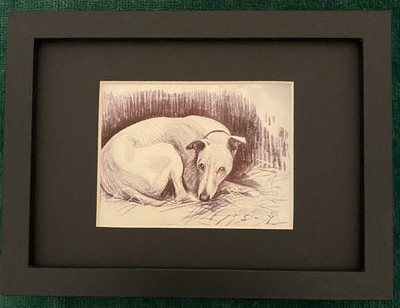 Whippet MATTED | FRAMED | READY TO GIFT - 1986 Vintage Dog Art Print