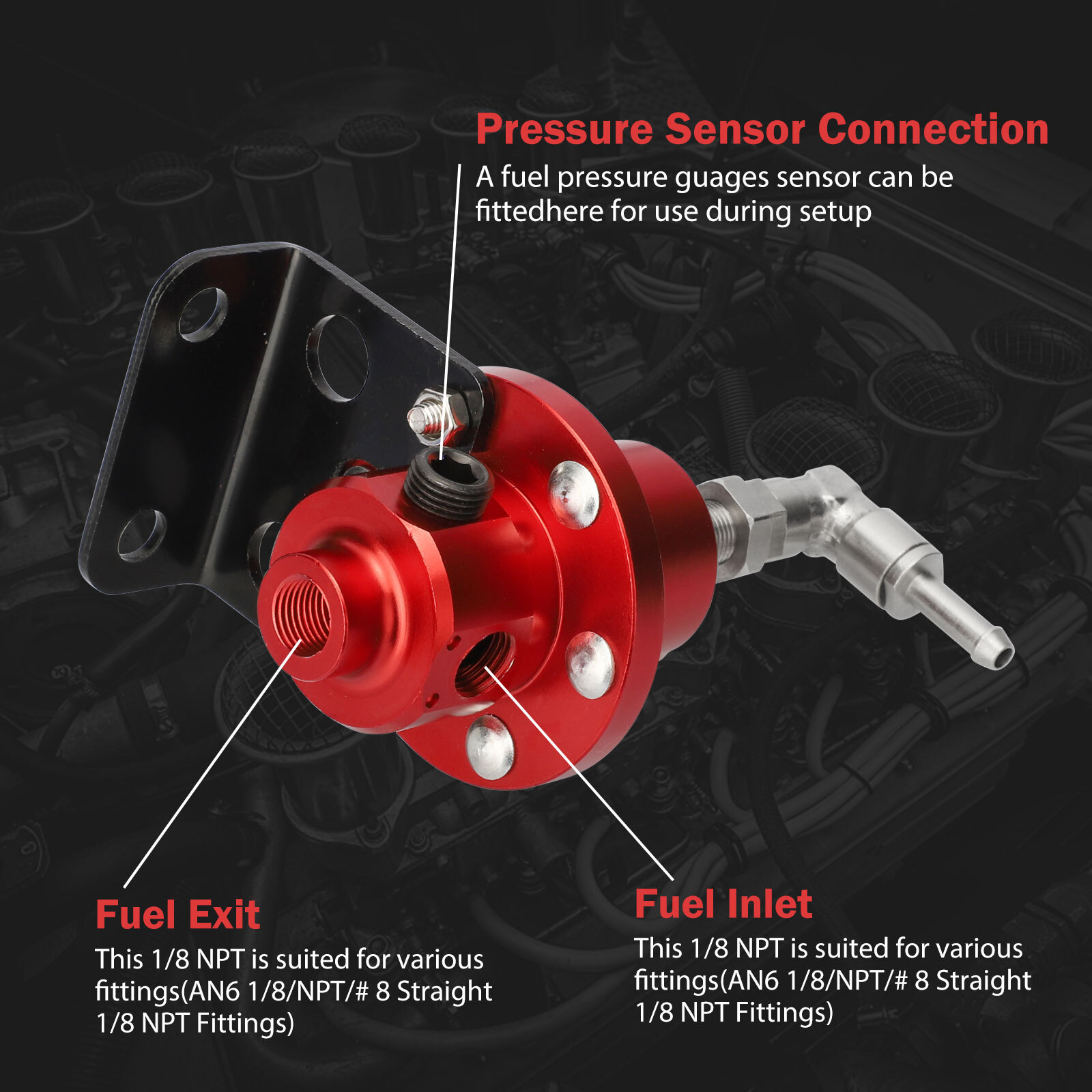 Universal 0160 PSI Adjustable Auto Car Fuel Pressure Regulator W/Oil