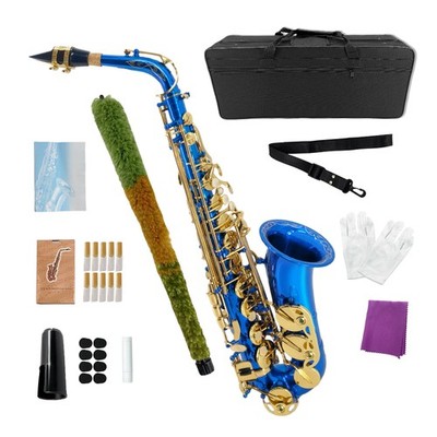 Alto Saxophone, Eb Flat Sax Complete Kit with Case & Accessories，Bule