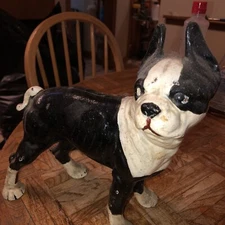 Antique cast iron Boston Terrier doorstop .Original Paint. Handsome Piece.