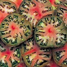 Tomato Black Sea Man 250 seeds