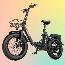 HIKEEP 500W Electric Bike 48V 13Ah 16'' Fat Tire E-Bike for Adults Folding ebike