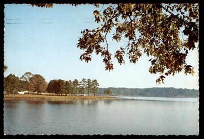 Postcard Geiger Lake, Paul B. Johnson State Park, Hattiesburg, Mississippi POSTE