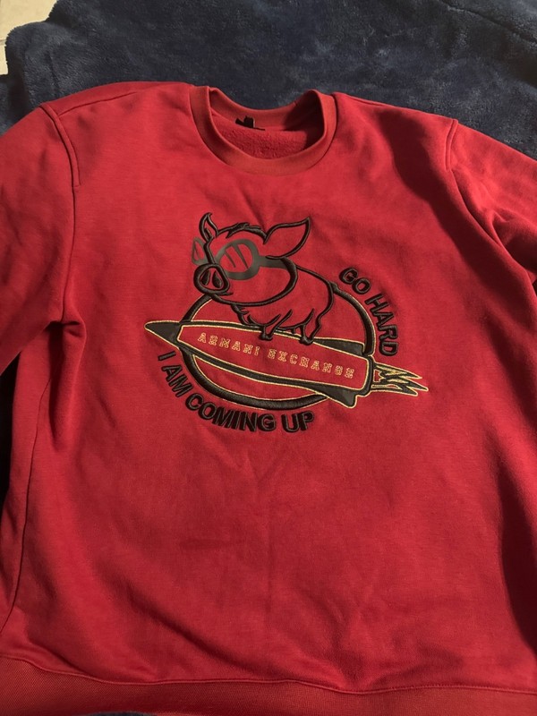 A/X sweatshirt Unique "When Pigs Fly" Size Large. Comfortable warm piggy sweater