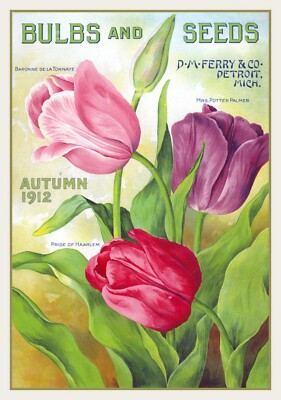 Vintage Samen 1 Garten Frühling Blumen Tulpen Werbung Katalog Poster