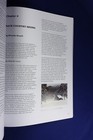 Bild 9 von 12