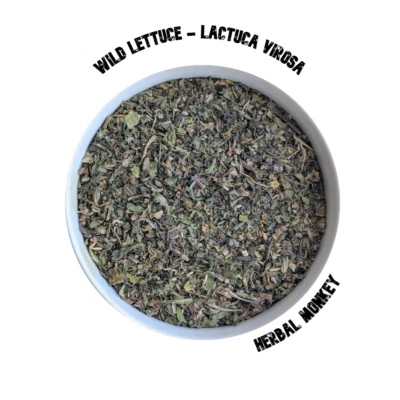 HERBALMONKEY Wild Lettuce | Lactuca Virosa | Natural Herb | Natural Wild Lettuce