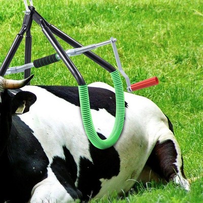 Cow Hip Lift OB Calving Milking Birthing Lame Cow 2204LB Adjustable Clamp