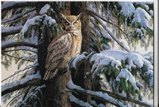NOS LEANIN' TREE Christmas Card 6.75x4.75 Owl in Snow Covered Pine Tree