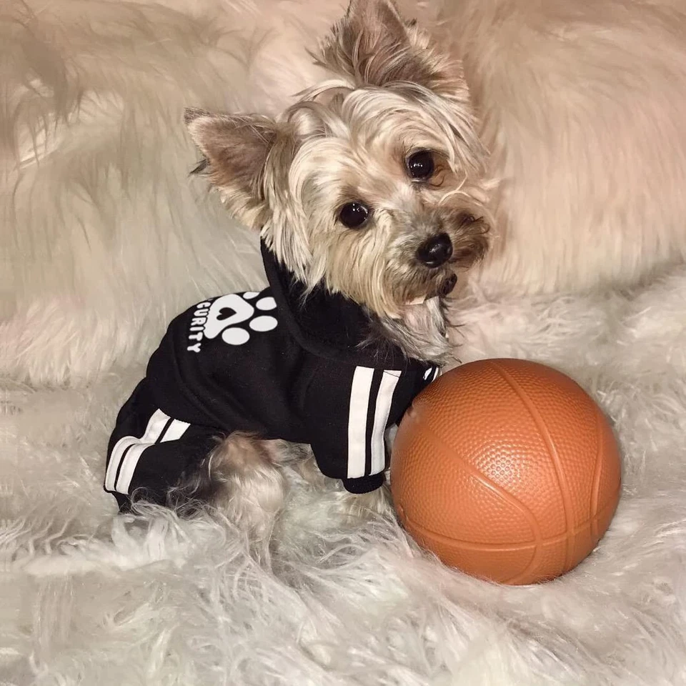 Macacão com capuz Otunrues cachorro 4 pernas moletom roupas para animais de estimação quente macio preto XXS - Imagem 4 de 4