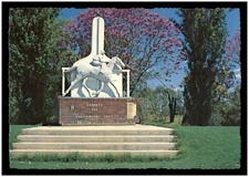 Vintage Postcard RPPC (Murray Views) - Apex Park, Goondiwindi, QLD