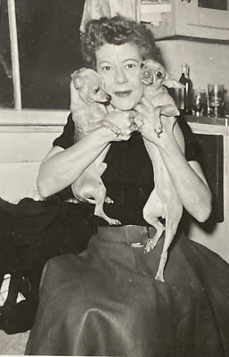 1950s Beautiful Woman Lady Holding Cute Chihuahuas Dogs Original Photo P14zb19