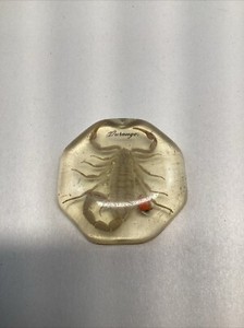 Golden Scorpion in Resin Dome Shape Paperweight