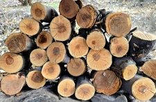 19+ LBS Apple Wood For Smoking Organic 2~3 1/2"D 5~8”L Logs BBQ Fire Grill