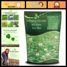 Perennial White Dutch Clover Seeds - 2 lbs, Nitrocoated, Inoculated, Lawn Altern