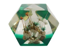 Vintage green to clear Lucite floral & seashell geometric paperweight