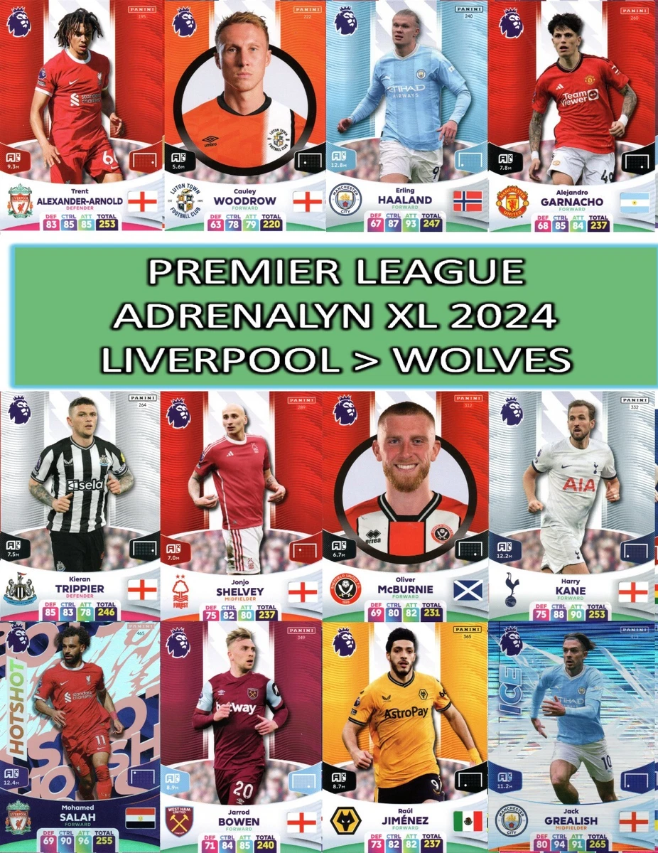 Buy Panini Premier League Adrenalyn XL 2024 Card Game, Trading cards and  card games