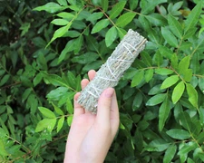 Mugwort (Black Sage) Smudge Stick 3 - 4 " (House Cleansing Negativity Removal)