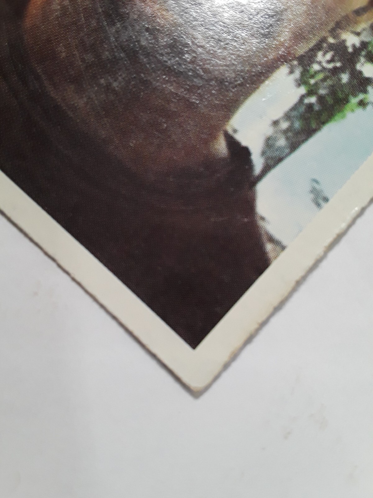 Picture 4 of 7