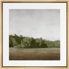 SIGNWIN Framed Canvas Print Wall Art Green Mountain Hill Forest Landscape View