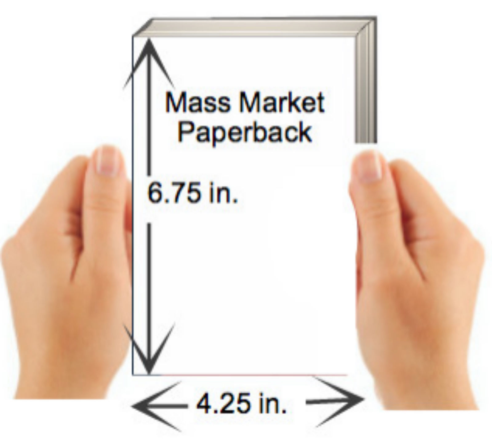 The Merck Manual of Medical Information (2004, Paperback, Revised) | eBay