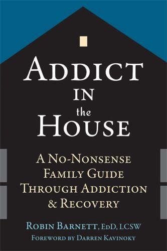 Addict in the House: A No-Nonsense Family Guide Through Addict . - Image 5
