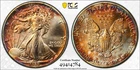 1989 American Silver Eagle PCGS MS68 TONER With TRUEVIEW Colors Double Bronze