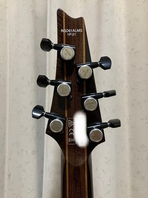 Ibanez Axion Label RGD61ALMS / Electric Guitar w/ Gig Bag | eBay