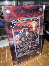 Entei V GG36/GG70 Crown Zenith Pokemon Magnetic 🧲 Extended Art Case