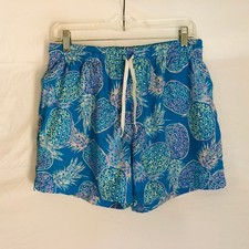 Chubbies Mens Blue Neon Pineapple Swim Trunks 5.5 Inch Board Shorts Medium