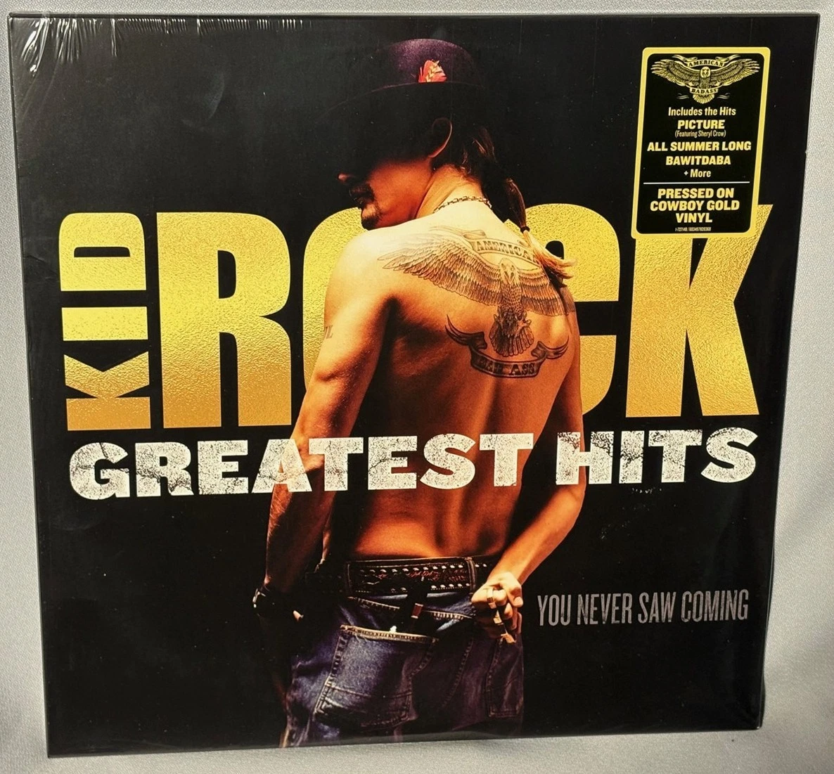 Kid Rock двойная пластинка 33 об/мин скорость виниловые пластинки