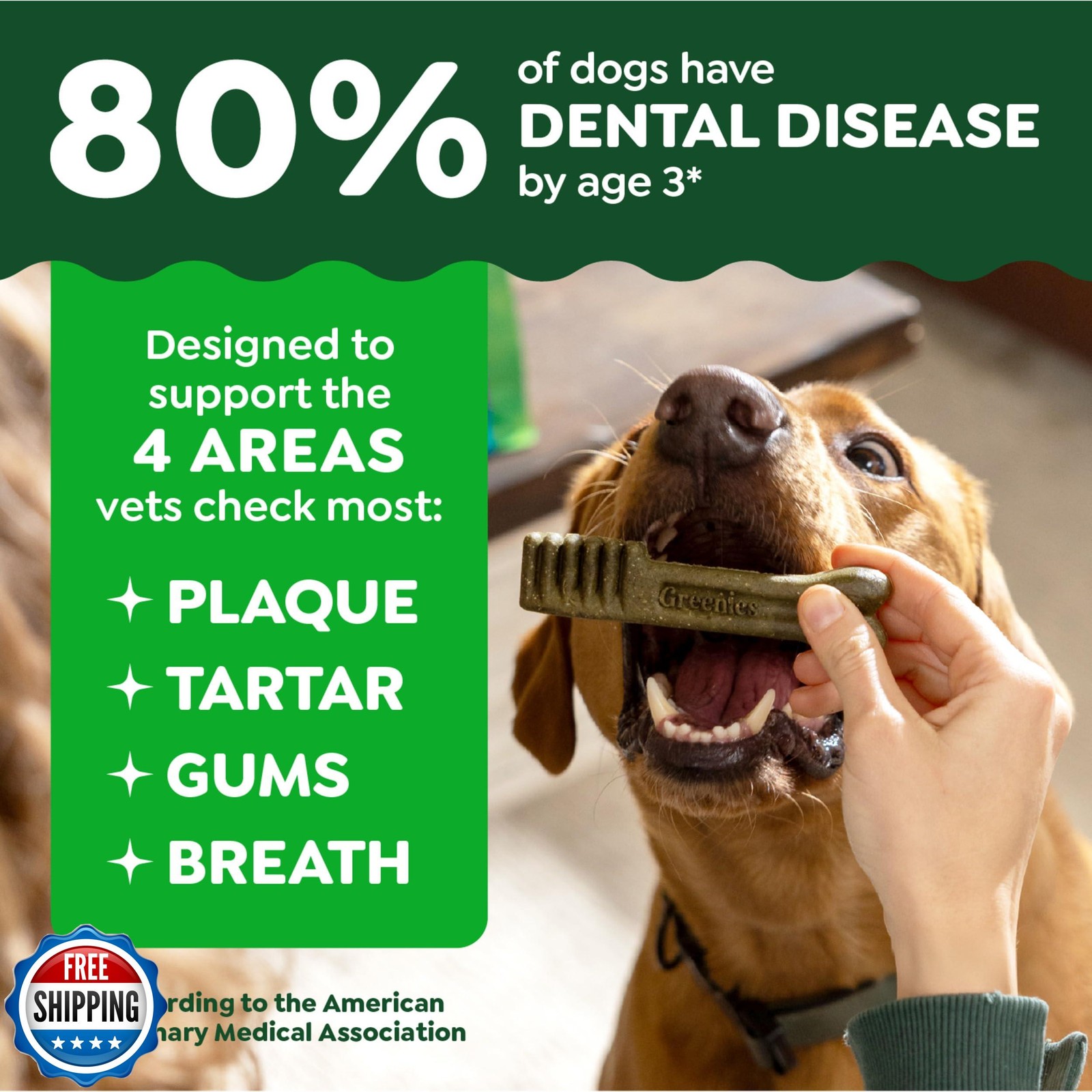 Greenies Veterinarian-Recommended Natural Dental Dog Treats Regular Size, Ori